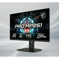 Монитор MSI IPS P50 FHD 100Hz 25"